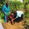 A tree planting program at "Sanhinda" Elderly Daycare Center (2024-06-06)